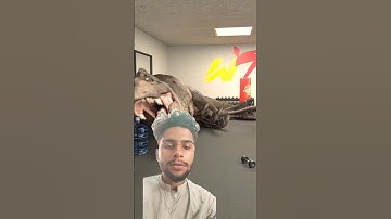 Rexy is done with this meme | T-Rex Meme 02
