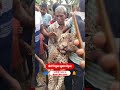 Bihar: तेंदुए के ह/मले से द/हश/त, ग्रामीणों की घे/राबं/दी में ख/त्म हुआ आ/तंक