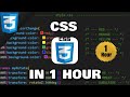 Learn css in 1 hour 