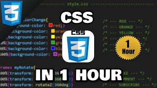 Learn CSS in 1 hour