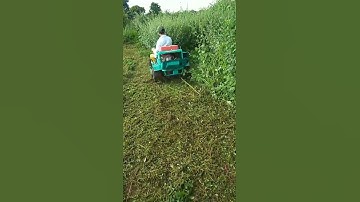 Xe cắt cỏ ngồi lái .động cơ Mitsubishi GM400PV 13hp . lh Zalo . sđt ; 0706.39.79.68