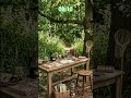 30s ADHD Micro-Break Timer • Naturalist Desk ASMR #shorts
