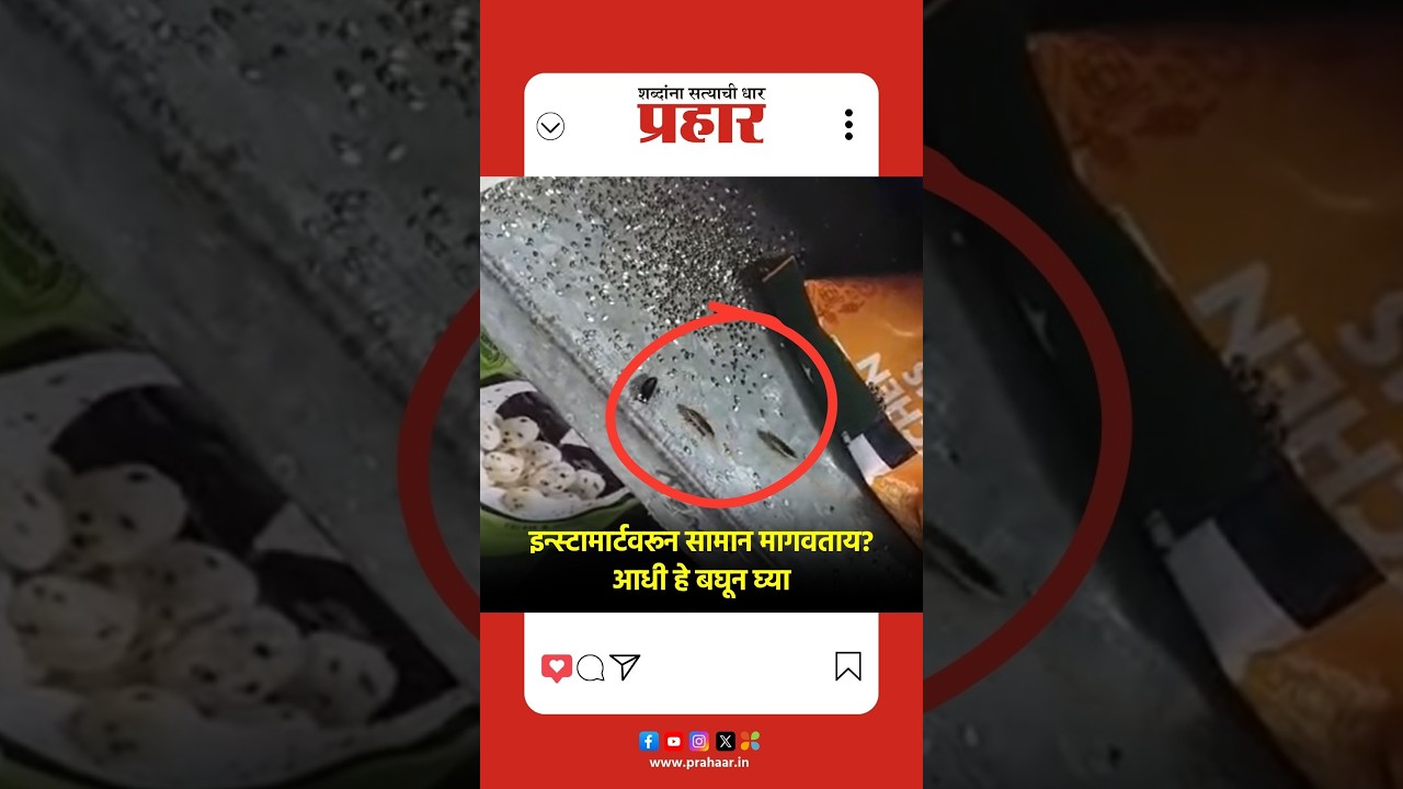 Bandra Instamart | वांद्रे येथील इन्स्टामार्टमध्ये झुरळांचा वावर