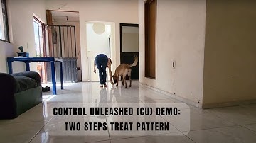 Control Unleashed (CU) demo: Two Steps Treat Pattern; introducing a new location specific marker cue