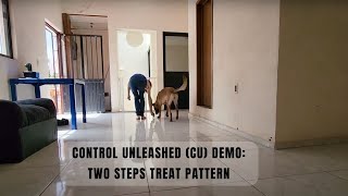 Control Unleashed (CU) demo: Two Steps Treat Pattern; introducing a new location specific marker cue