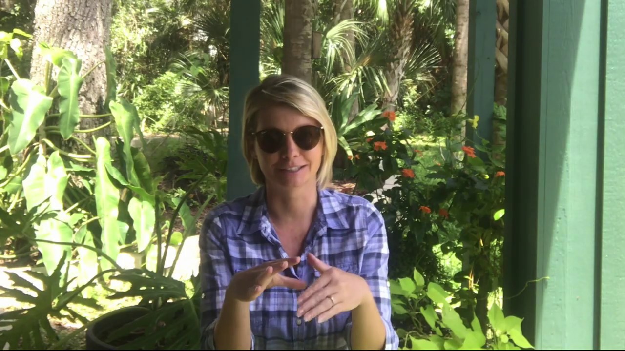 Benefits of Worm Composting in Florida YouTube