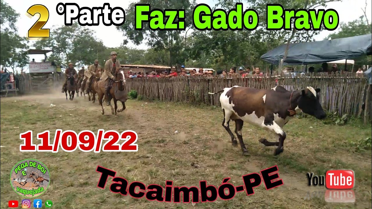 Dj Magrão Rodeio - - 27 de Agosto - Dia do Peão de Boiadeiro - Inspirado no  trabalho de manejo do gado em fazendas, o rodeio esportivo surgiu como  evento há mais