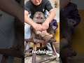 This Man and His Mom Are Feeding a Sweet Potato to Their Aging Monkey #funny#shorts