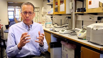 Gunnar Gouras, Professor of Neuroscience, Lund University / MultiPark