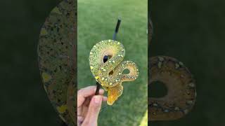 Get a glimpse of this stunning yearling green tree python! #myphilosophywithsocratis #snakes