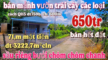 bán vườn trái cây sầu riêng chôm chôm bưởi chanh và cây xưa 71,m mặt đường  dt 3222,7m²cln giá 650tr
