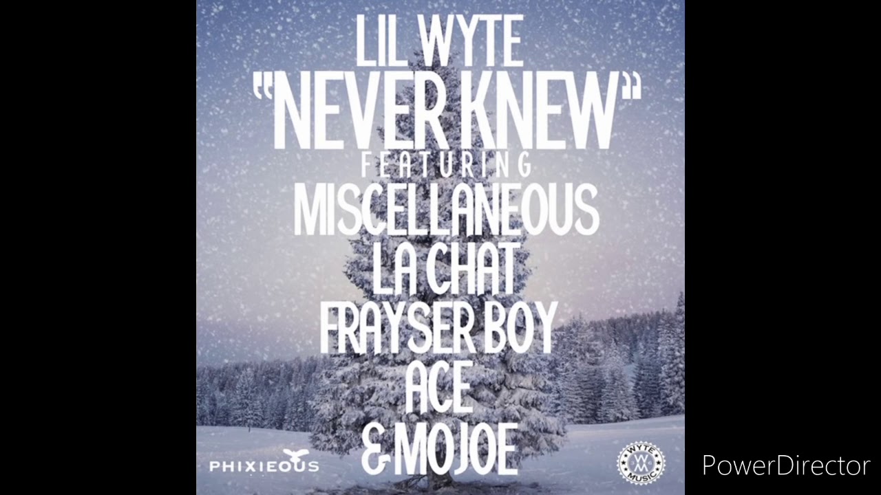Lil Wyte - Never Knew (Official Instrumental)