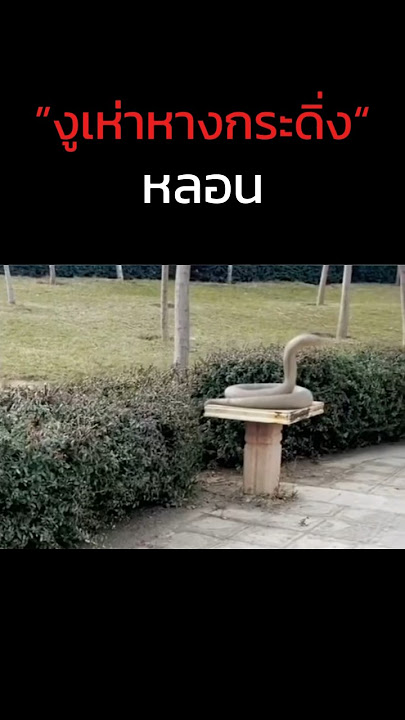 Mysterious snake statue in the middle of a park #scary #prank #horror