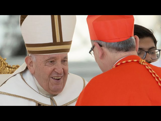 cardinals hat catholic