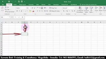 Business Analysis #02 Intro to Excel 2016, Af-Somali