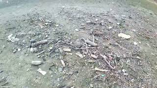 Laag Water De Waal. Bij Ochten En Dodewaard