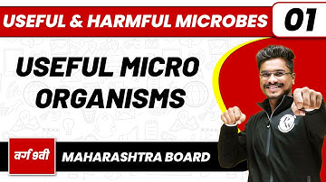 USEFUL & HARMFUL MICROBES 01 | Useful Micro Organisms | Biology | Class 9th/Maharashtra Board