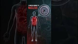 The Blueprint Hidden in Every Cell #shorts #3danimation