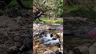 Tokat Turhal Erenli Köyü (Meyil) Mahzuni Şerif Deyme Tabip Sızılıyor