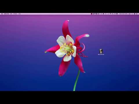 unity assets torrent unity assets torrent