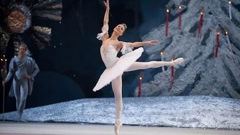 Nutcracker | Nina Kaptsova as the Sugar Plum Fairy | Bolshoi Ballet 2010 (DVD/Blu-ray highlight)