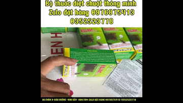 Chuột sẽ chết như thế nào khi ăn phải thuốc diệt chuột thông minh