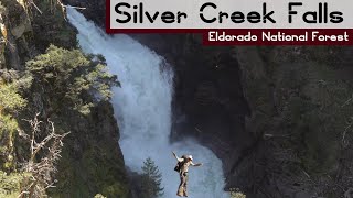 CLOSE ENCOUNTERS OF THE BEAR KIND | Eldorado National Forest Backpacking  | Silver Creek Falls