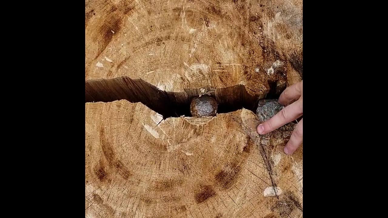 How to split wood with a maul and flared splitting wedge YouTube