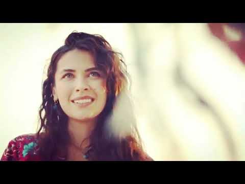 Yıldız Serhat Halef Köklerin Çağrısı