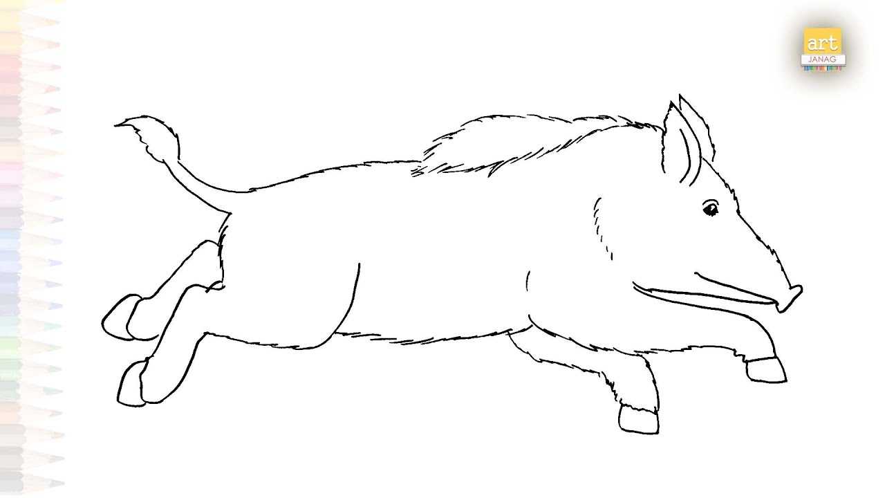Wild boar drawings easy | Wild animal drawing tutorial | How to draw ...