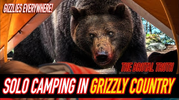 Grizzly bears EVERYWHERE | The brutal truth about camping in grizzly country