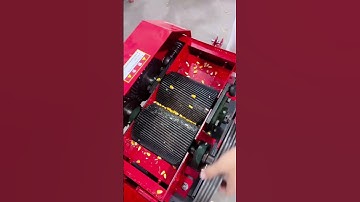 corn 🧈🌽🌽🌽 crusher multiple machine specially for corn #feeding #machine #corn #grass #diy