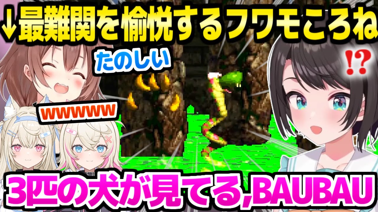 【スーパードンキーコング2】クサリのとう＆どくどくタワーに挑むスバル,最難関に苦戦する様子をフワモコころねが愉悦ｗ「ころね大笑いで草」【ホロライブ 切り抜き/大空スバル/戌神ころね/フワモコ】