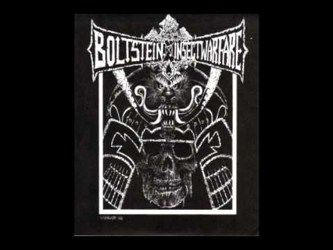 Insect Warfare — Bolt Stein - Judas