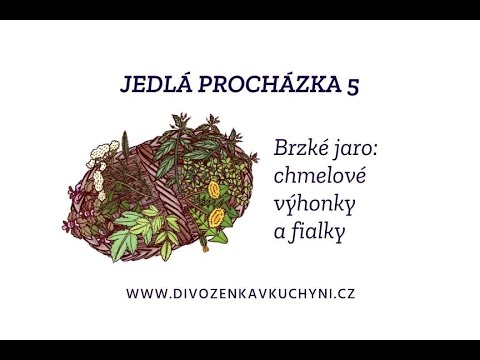 Video: Jak chutnají denivky?