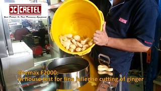 Dremax F2000 Ginger Strip Cutting