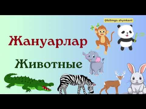 Порно: Бір сұлулық үшін екі үлкен сиқыр