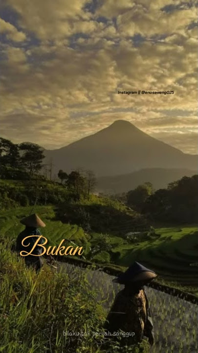 story wa eps. 38 || Last Child - sekuat hatimu