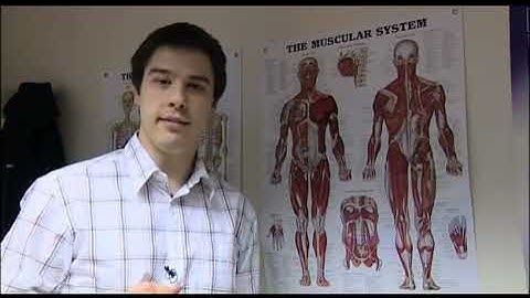 Careers Using Maths - Motion Capture Analysis in Clinical Science - National HE STEM Programme