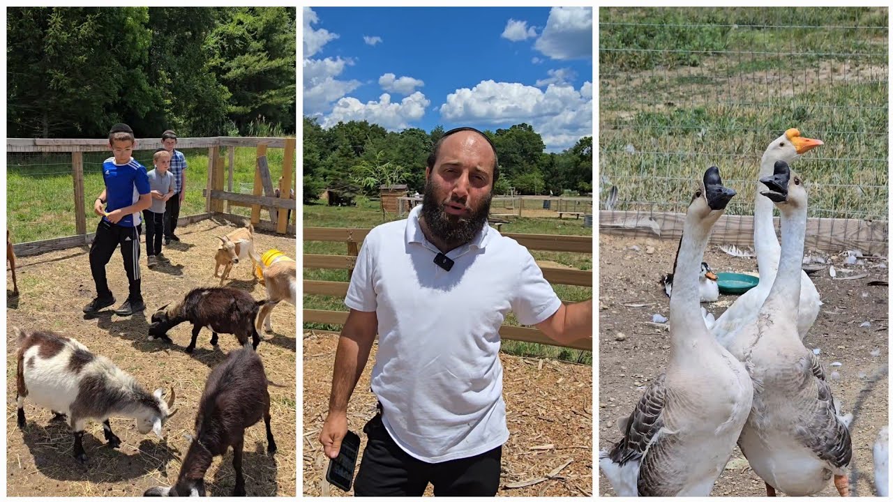 Welcome! To Doodle Farm: A fun family spot with friendly animals and interactive farm experiences!
