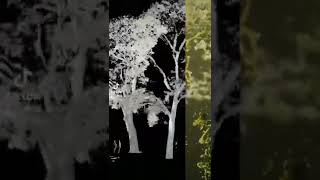 Celebrity Cool effect with pointcloud! #houdini #houdinifx #sidefx #cgi #pointcloud #particles Wealth