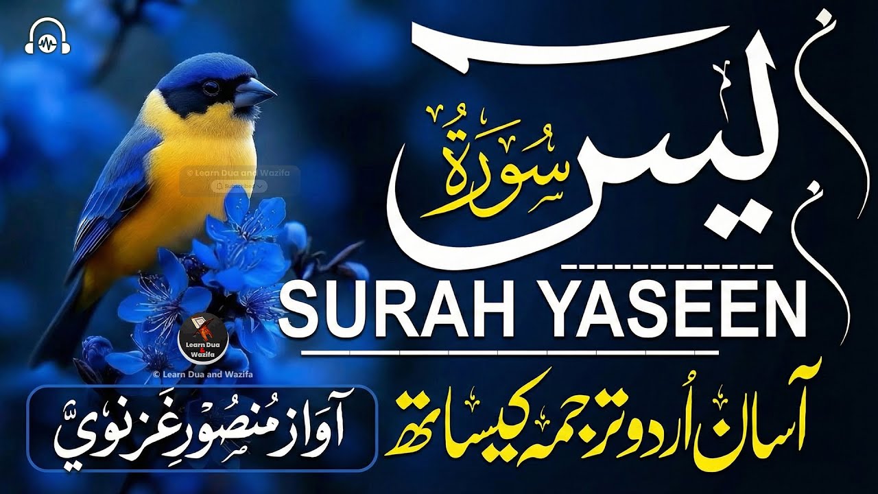 Surah Yasin (Yaseen) for Healing | Relieve Stress, Depression & Anxiety | سورة يس | #surahyaseen