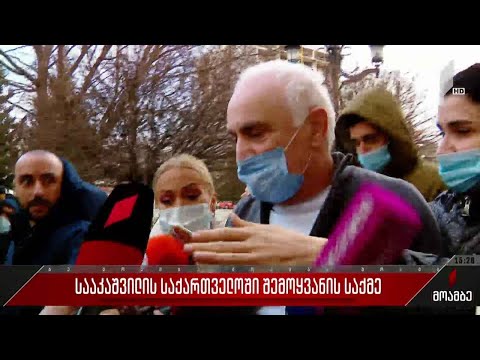 მიხეილ სააკაშვილის მიერ საზღვრის უკანონო კვეთის საქმე