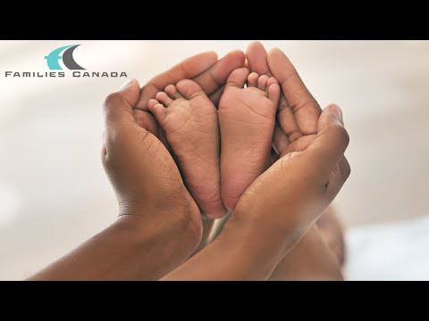 Webinar- What We