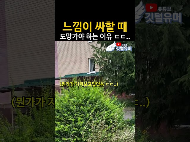 뭔가 무서운데 귀엽다 ㅋㅋㅋㅋㅋㅋㅋ