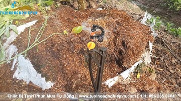 Béc tưới phun mưa điều chỉnh G5 || Tưới cây tự động G5