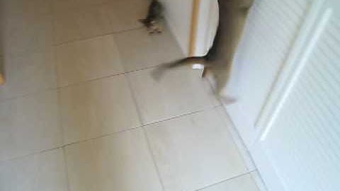 Chasing Moving Target