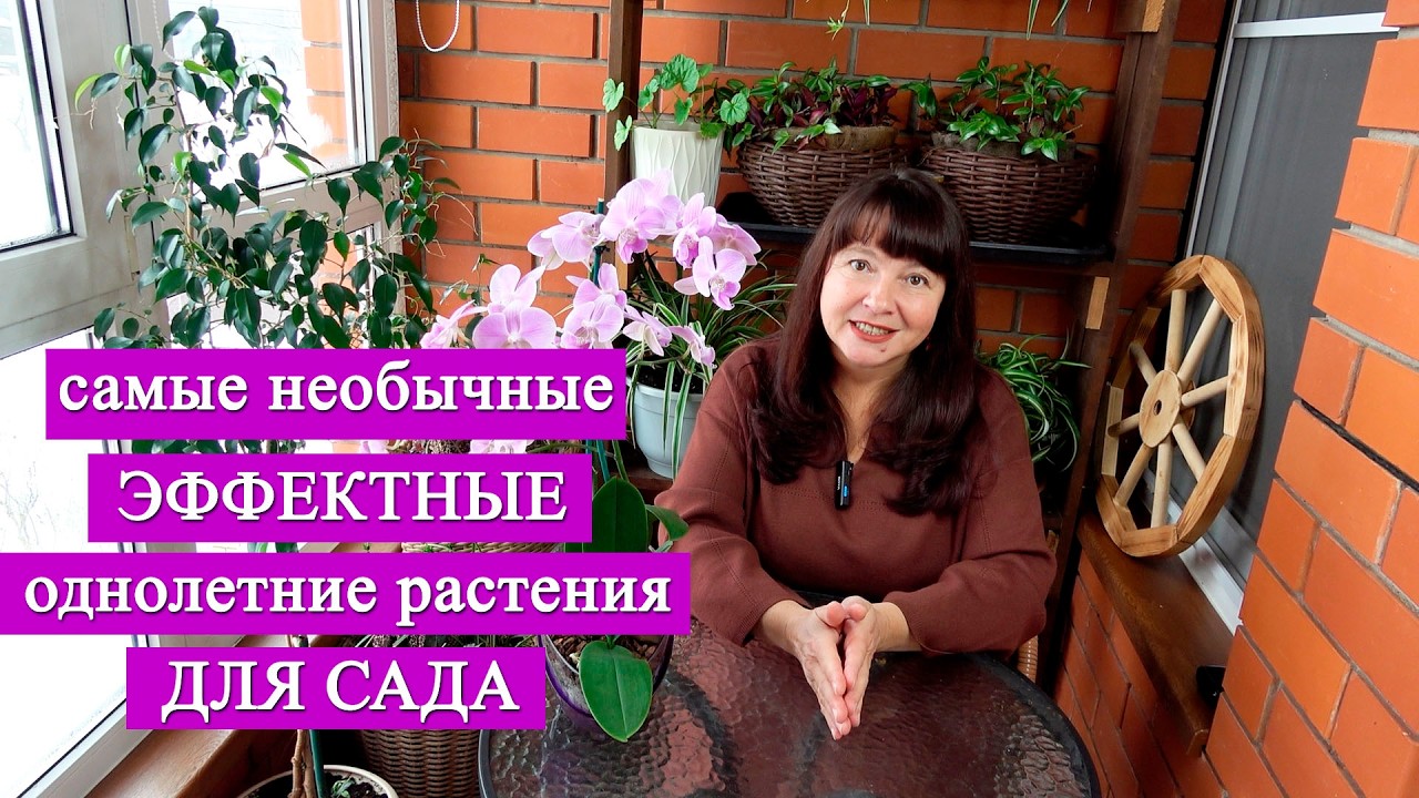 Эффектные ОДНОЛЕТНИЕ ГИГАНТЫ для сада! Молодой сад? Сажай их и не пожалеешь!