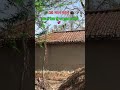 #reels #villagelife #motivation #viralreels #sad
