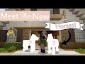 Meet The New Horses! | Minecraft | DibbleCraft